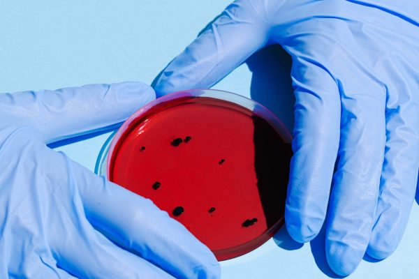 agar, School laboratory Chemicals, Tissue culture chemicals