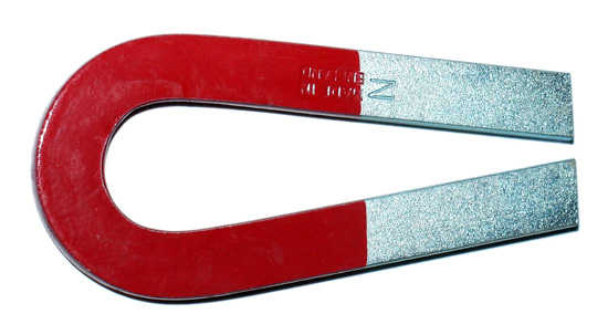 Horseshoe Magnet